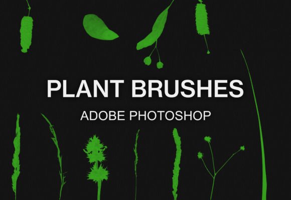 Download Photoshop Nature Plant Brushes Pack - Plant brushes Collection