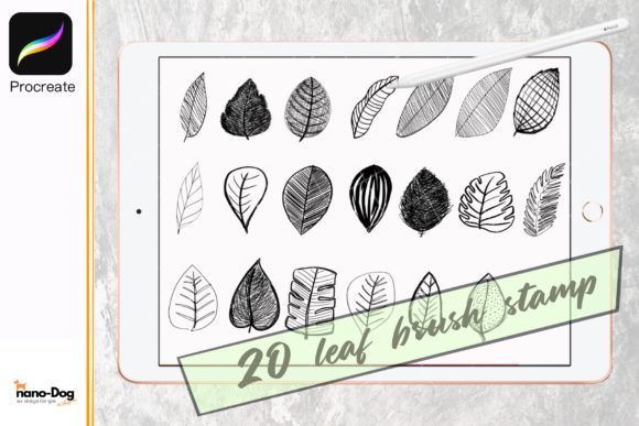 Download Procreate Brush Stamp Set 20 Leaf - Procreate brush stamp Collection